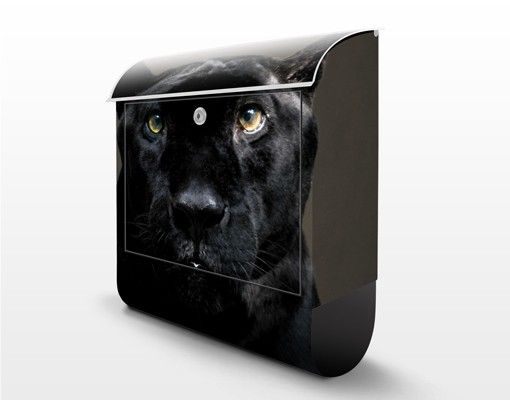 Letterboxes Black Puma
