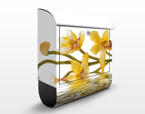 Letterboxes flower Saffron Orchid Waters