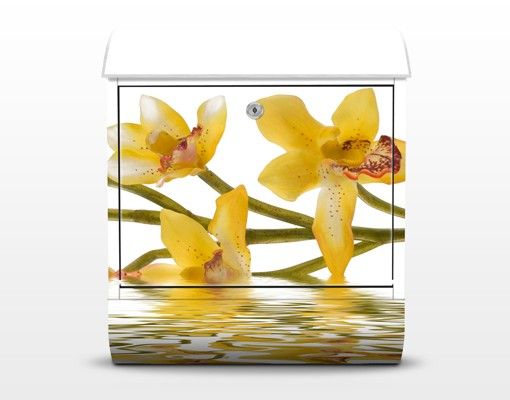 Yellow letter box Saffron Orchid Waters
