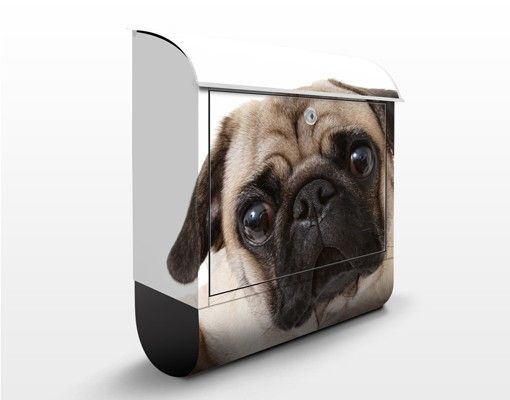 Letterboxes animals Pug