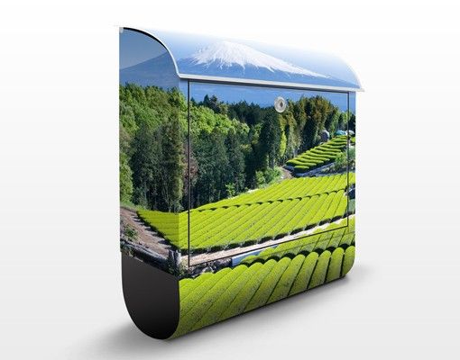 Letterboxes landscape Tea Fields In Front Of The Fuji