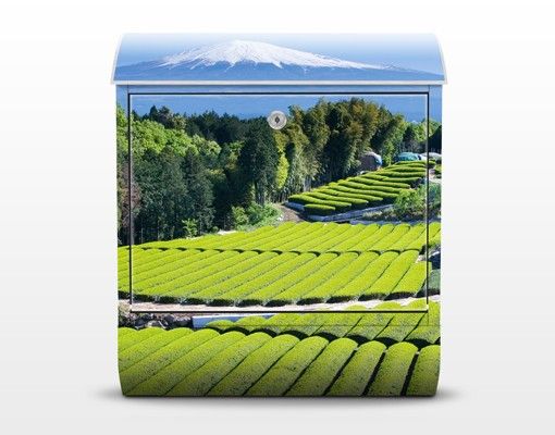 Letterboxes green Tea Fields In Front Of The Fuji
