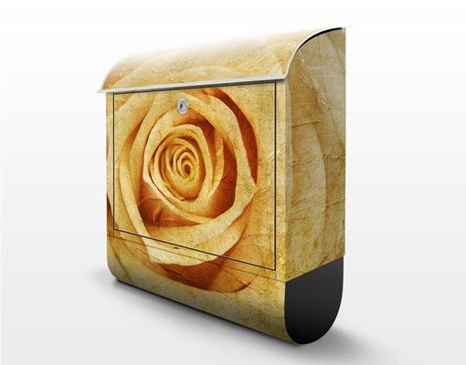 Letterboxes yellow Vintage Rose