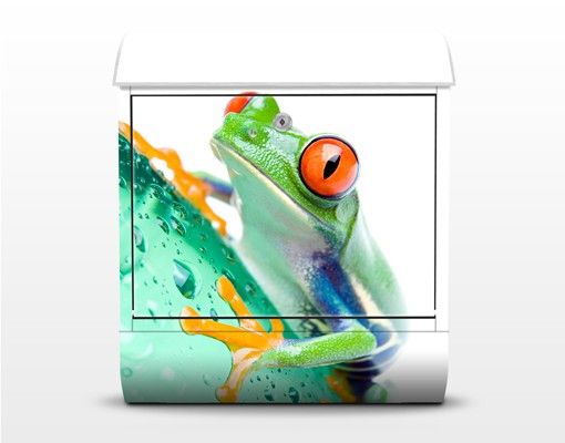 Letterboxes Frog