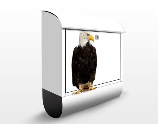 Letterboxes animals No.379 Eye of the Eagle