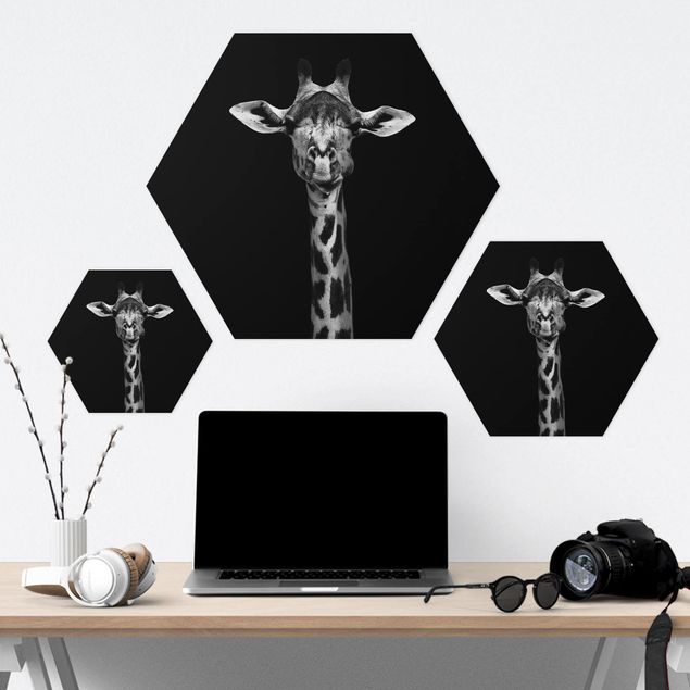 Hexagon photo prints Dark Giraffe Portrait