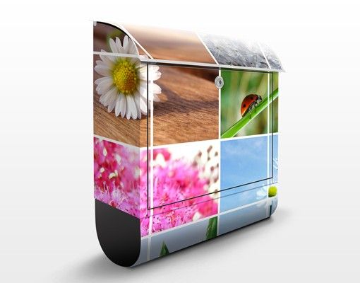 Letterboxes flower Spring Impression