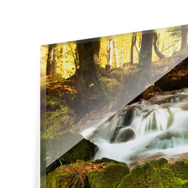 Glass Splashback - Waterfall Autumnal Forest - Landscape 1:2