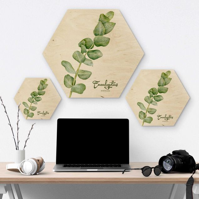 Wooden hexagon - Watercolour Botany Eucalyptus