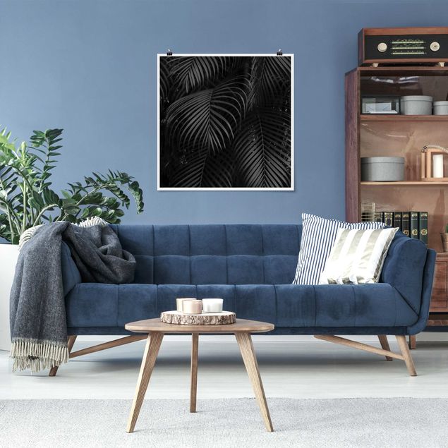 Art posters Black Palm Fronds