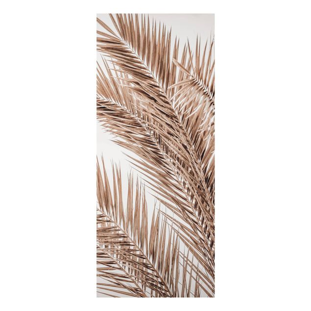 Landscape canvas prints Bronze Coloured Palm Fronds