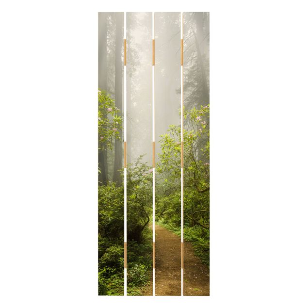 Prints Misty Forest Path