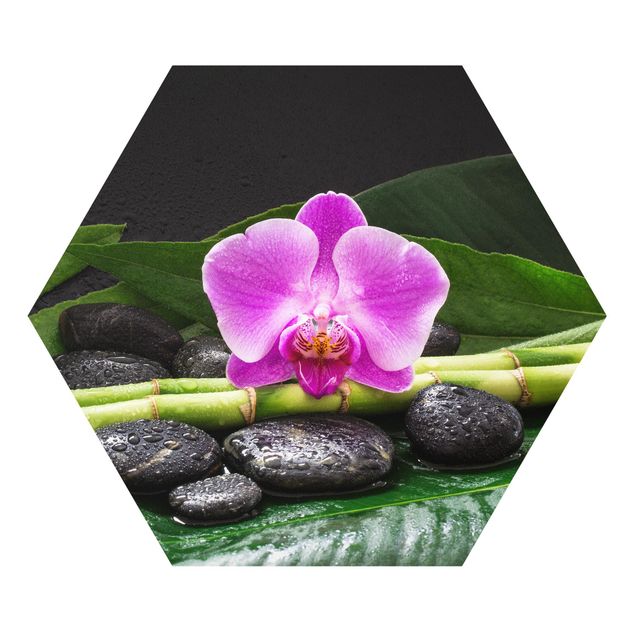 Floral canvas Green Bamboo With Orchid Blossom