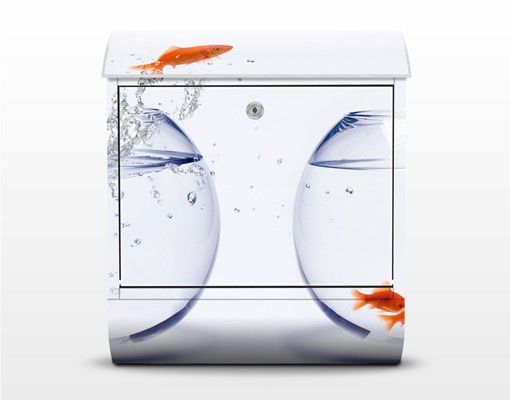 Letterboxes white Flying Goldfish