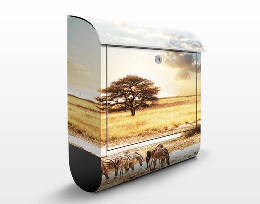 Letterboxes landscape Zebras' lives