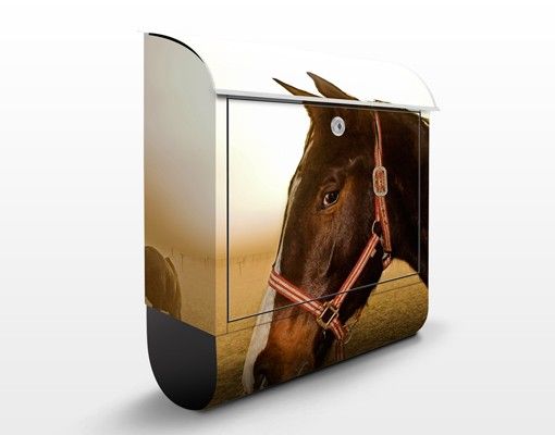Letterboxes animals Early Horse