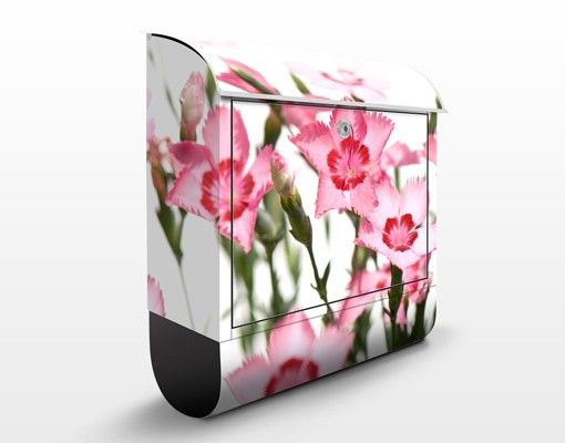 Letterboxes flower Pink Flowers