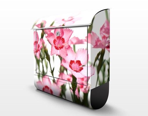Mailbox Pink Flowers