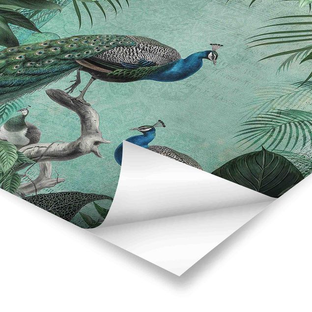Prints Shabby Chic Collage - Noble Peacock