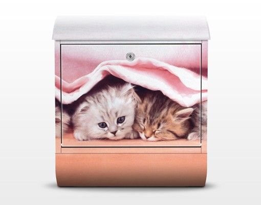 Letterboxes animals Sugar-Sweet