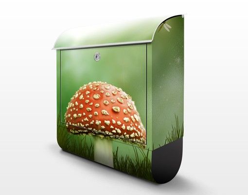 Letterboxes Fly Agaric
