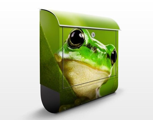 Letterboxes animals Frog