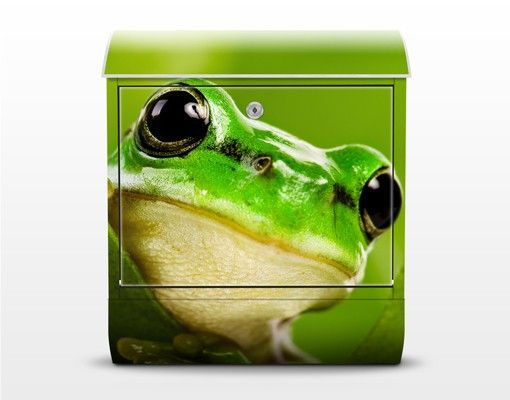 Letterboxes green Frog