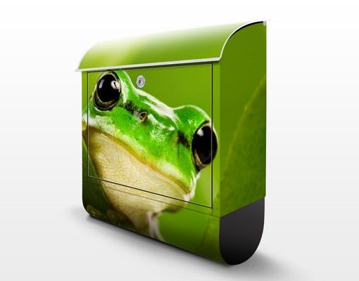 Letterboxes Frog