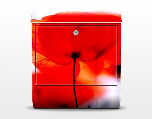 Letterboxes red Magic Poppies