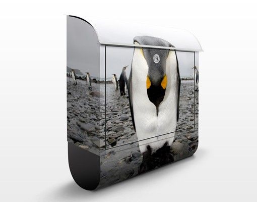 Letterboxes animals Penguin