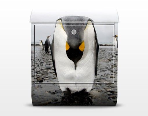 Letterboxes Penguin