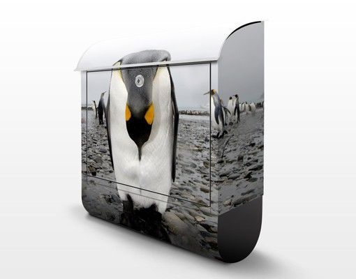 Letterbox - Penguin