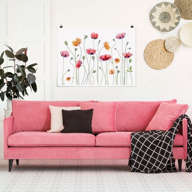 Floral canvas Poppy Party