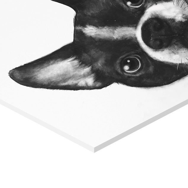 Prints Illustration Dog Boston Black And White Painting
