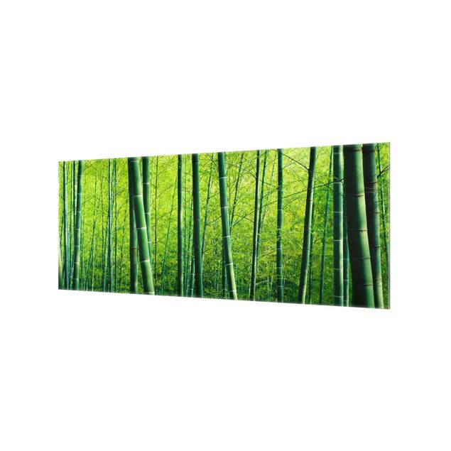 Glass Splashback - Bamboo Forest - Panoramic
