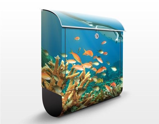 Letterboxes animals Coral reef