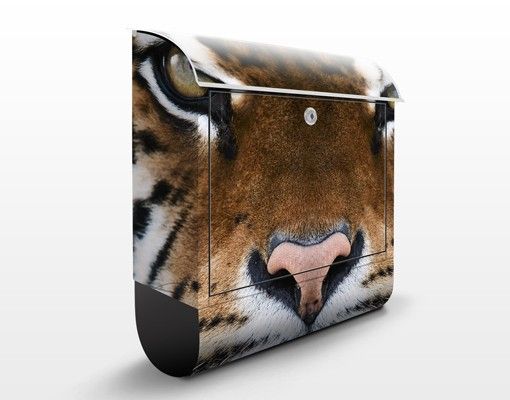 Letterboxes animals Tiger Eyes
