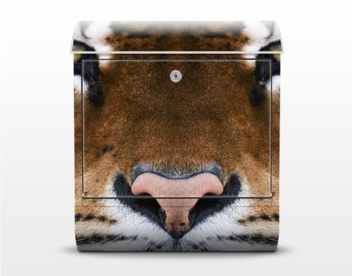 Letterboxes brown Tiger Eyes