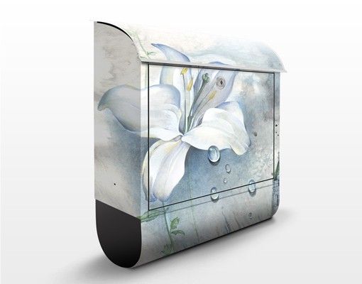 Letterboxes flower Tears Of A Lily