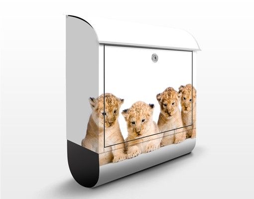 Letterboxes animals Sweet Lion Babys