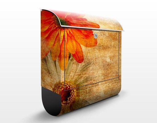 Letterboxes flower Vintage Flowermix