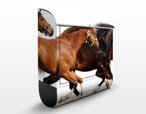 Letterboxes animals Horse Herd