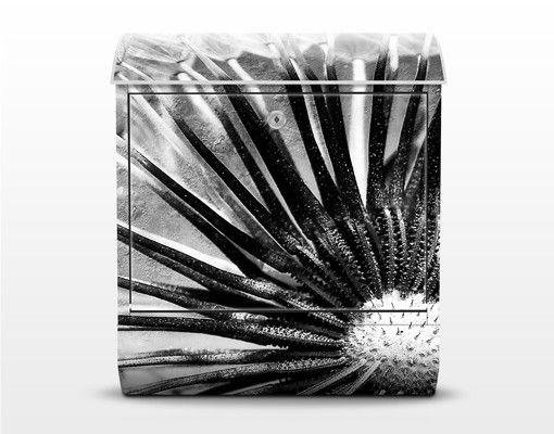 Letterboxes black and white Dandelion Black & White