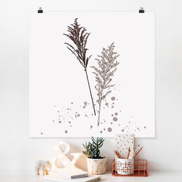 Floral canvas Botanical Watercolour - Fescue Reed