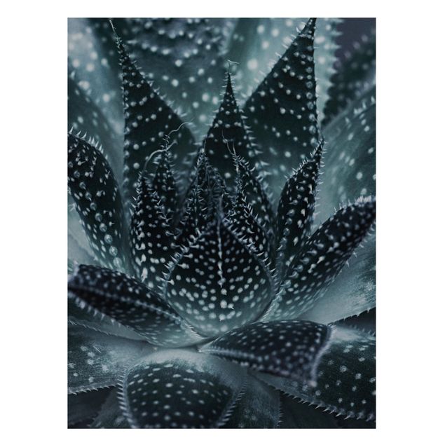 Magnet boards flower Cactus Drizzled With Starlight At Night