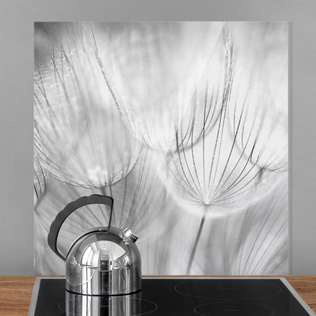 Kitchen Dandelions Macro Shot In Black And White