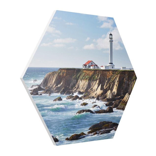 Sea life prints Point Arena Lighthouse California