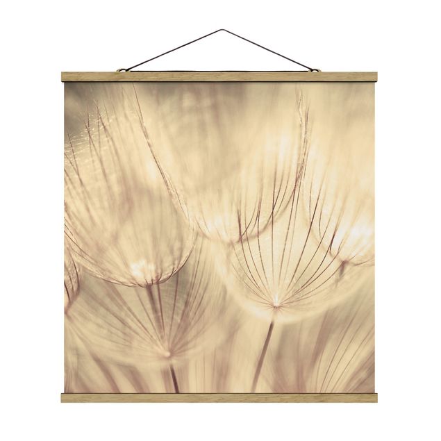 Prints modern Dandelions Close-Up In Cozy Sepia Tones