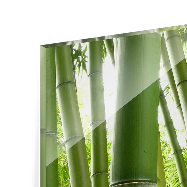 Glass Splashback - Bamboo Trees - Panoramic