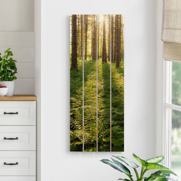 Wood prints landscape Sun Rays In Green Forest